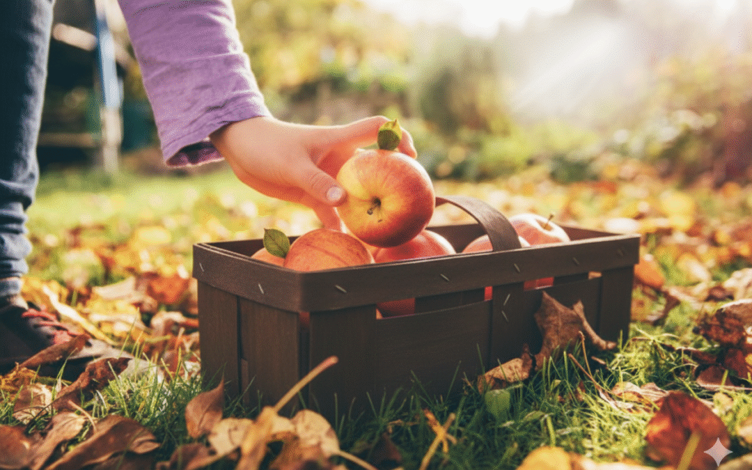 In Praise of La Manzana: A Harvest Time Tribute