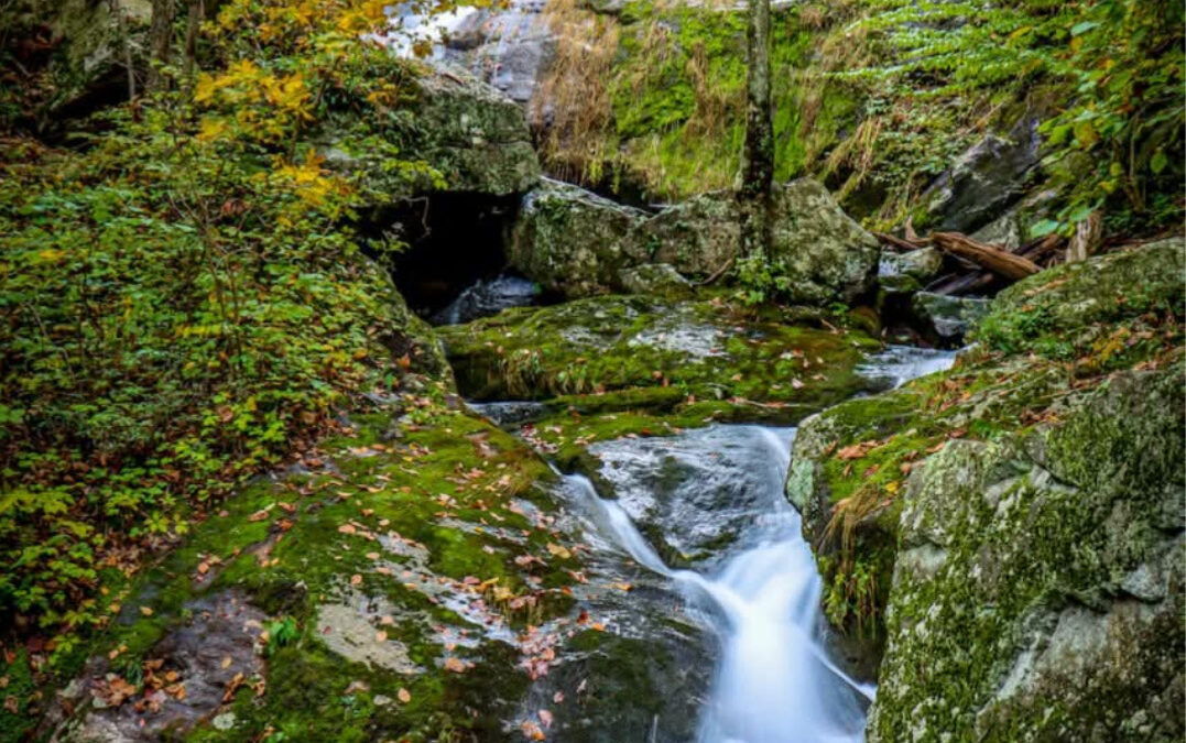  Virginia Waterfalls: Experience the Majesty 