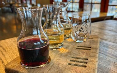 Unique and Interesting Summer Activities for Grown-ups – South of the River