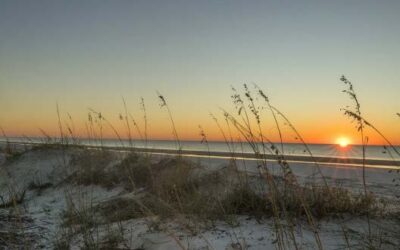 Hilton Head: Beyond the Beach